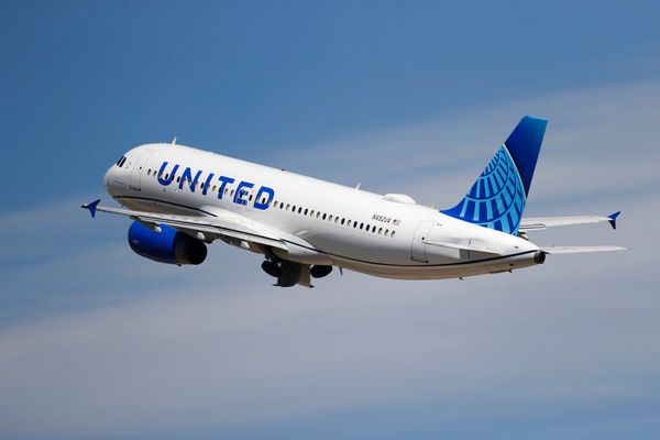 United Airlines Stock Plunges After Another Big Loss